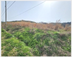  2025Ÿ��30178  �Ӿ߰��