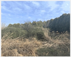  2025Ÿ��30188 ���� ������ ����� ������ 257-10      ����(�Ӿ�)���