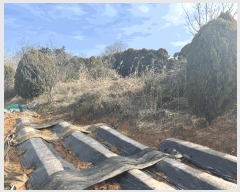  2025Ÿ��30188 ���� ������ ����� ������ 257-10      ����(�Ӿ�)���