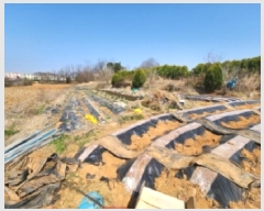  2025Ÿ��30188 ���� ������ ����� ������ 257-10      ����(�Ӿ�)���