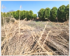  2025Ÿ��30188 ���� ������ ����� ������ 257-10      ����(�Ӿ�)���