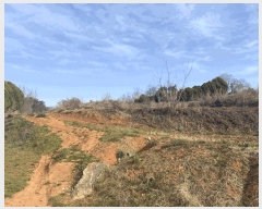  2025Ÿ��30188 ���� ������ ����� ������ 257-10      ����(�Ӿ�)���