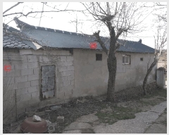  2025Ÿ30192  â  ȸ渮 205-2      ()