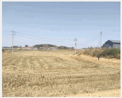  2025Ÿ��30216 ���� ������ ����� ��渮 259-1      ����(��)���