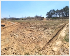  2025Ÿ��30216 ���� ������ ����� ��渮 259-1      ����(��)���