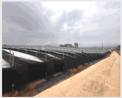  2025Ÿ��30220 ���� ��â�� ���� ������ 391-5      ����(��1)���