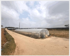  2025Ÿ��30220 ���� ��â�� ���� ������ 391-5      ����(��1)���