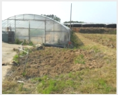  2025Ÿ��30220 ���� ��â�� ���� ������ 391-5      ����(��1)���