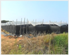  2025Ÿ��30220 ���� ��â�� ���� ������ 391-5      ����(��1)���