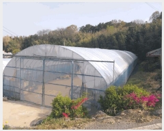  2025Ÿ��30226 ���� ������ �Ҽ��� �ִ縮 118-1      ����(����)���