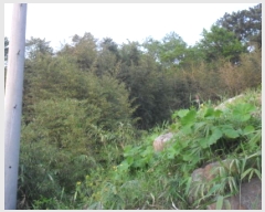  2025Ÿ��30226 ���� ������ �Ҽ��� �ִ縮 118-1      ����(����)���