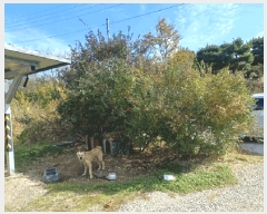  2025Ÿ��30228  ���ð��