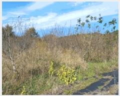  2025Ÿ��30228  ���ð��