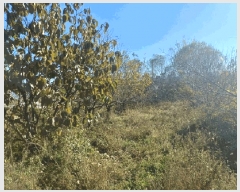  2025Ÿ��30228  ���ð��