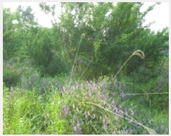  2025Ÿ��30228  ���ð��