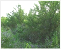  2025Ÿ��30228  ���ð��