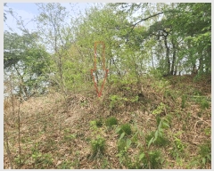  2025Ÿ30230   ܸ  10      ()