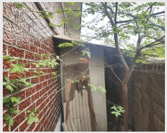  2025Ÿ30230   ܸ  10      ()