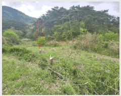  2025Ÿ30230   ܸ  10      ()