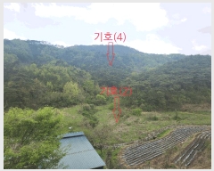  2025Ÿ30230   ܸ  10      ()