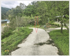  2025Ÿ30230   ܸ  10      ()