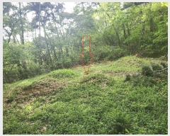  2025Ÿ30230   ܸ  10      ()