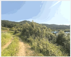  2025Ÿ��30253  �������