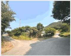  2025Ÿ��30253  �������