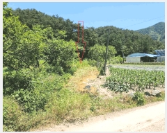  2025Ÿ��30264 ���� ������ �곻�� ������ 284-1      ����(��)���