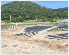  2025Ÿ��30264 ���� ������ �곻�� ������ 284-1      ����(��)���