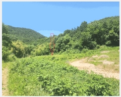  2025Ÿ��30264 ���� ������ �곻�� ������ 284-1      ����(��)���