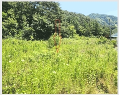  2025Ÿ��30264 ���� ������ �곻�� ������ 284-1      ����(��)���