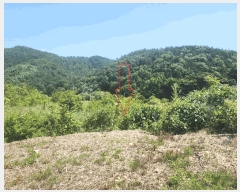  2025Ÿ��30264 ���� ������ �곻�� ������ 284-1      ����(��)���