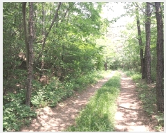  2025Ÿ30279  â ɿ õ 99-10      (Ӿ)