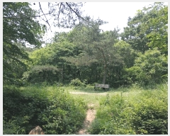  2025Ÿ30279  â ɿ õ 99-10      (Ӿ)