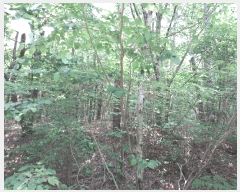  2025Ÿ30279  â ɿ õ 99-10      (Ӿ)