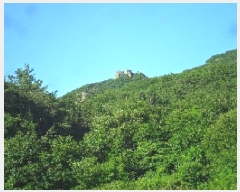  2025Ÿ30279  â ɿ õ 99-10      (Ӿ)