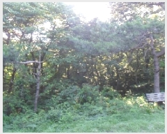  2025Ÿ30279  â ɿ õ 99-10      (Ӿ)