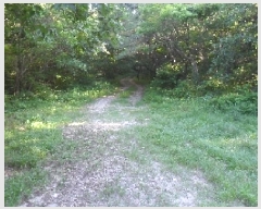  2025Ÿ30279  â ɿ õ 99-10      (Ӿ)