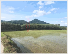  2025Ÿ30291  ξȱ   362      (1)