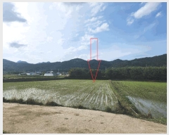  2025Ÿ30291  ξȱ   362      (1)