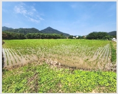  2025Ÿ30291  ξȱ   362      (1)