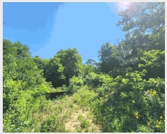  2025Ÿ��30297  �Ӿ߰��