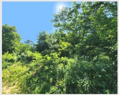  2025Ÿ��30297  �Ӿ߰��