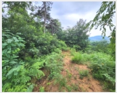  2025Ÿ��30297  �Ӿ߰��