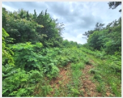  2025Ÿ��30297  �Ӿ߰��