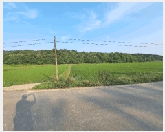  2025Ÿ��30301 ���� ��â�� ���ϸ� ���帮 1643      ����(��)���