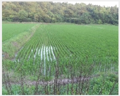  2025Ÿ��30301 ���� ��â�� ���ϸ� ���帮 1643      ����(��)���