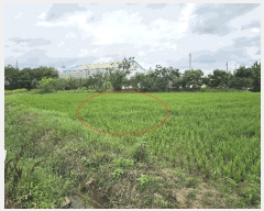  2025Ÿ��30315 ���� �ξȱ� ��ȭ�� â�ϸ� 253-5      ����(��)���