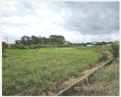  2025Ÿ��30315 ���� �ξȱ� ��ȭ�� â�ϸ� 253-5      ����(��)���